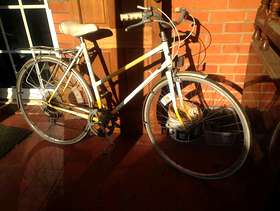 Freecycle Ladies bicycle