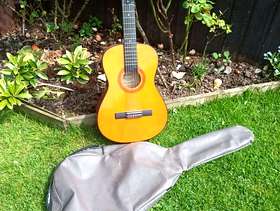 Freecycle Guitar