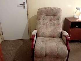 Freecycle Recliner chair