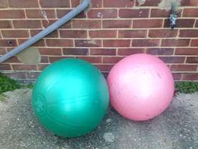 Freecycle Gym balls