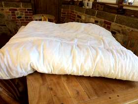 Freecycle King size duvet