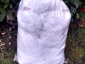 Freecycle Bag of Polyester stuffing
