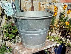Freecycle Galvanised bucket planter