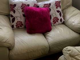 Freecycle Sofas