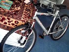 Freecycle Bike
