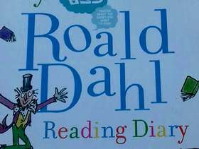 Freecycle Roald Dahl activity books