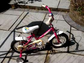 Freecycle Girls's bicycle