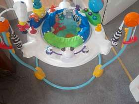Freecycle Jumperoo