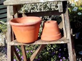 Freecycle 12 mixed terracotta plant pots