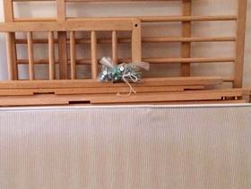 Freecycle IKEA baby cot with mattress