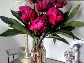 Freecycle Peonies in glass vase
