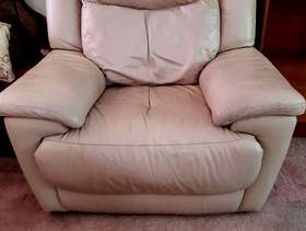Freecycle Recliner chair