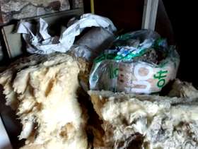 Freecycle Loft insullation