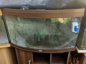 Freecycle Large Jewel fish tank hinge needs attention on one door