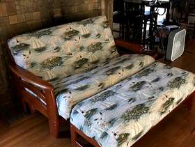 Freecycle Futon and footrest