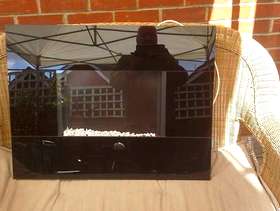 Freecycle Electric wall mounted fire