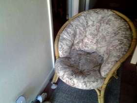 Freecycle Conservatory chair
