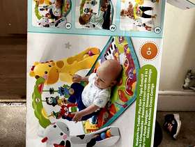 Freecycle Baby play gym