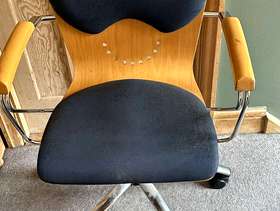 Freecycle Office chair