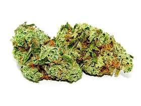 Freecycle Amnesia Haze