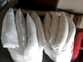 Freecycle 8 pillows