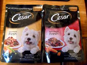 Freecycle Cesar dog food sachets