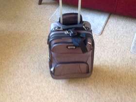 Freecycle Small Pullalong Case